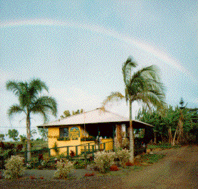 Fruitstand Photo with rainbow